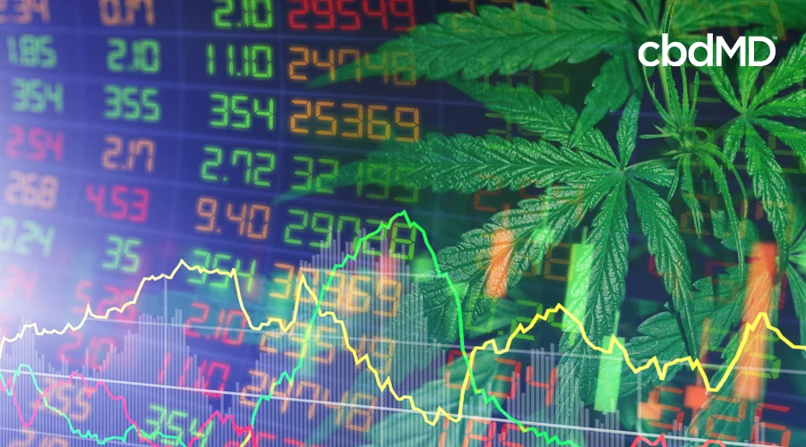 Hemp leaves laid over a stock ticker with line graph