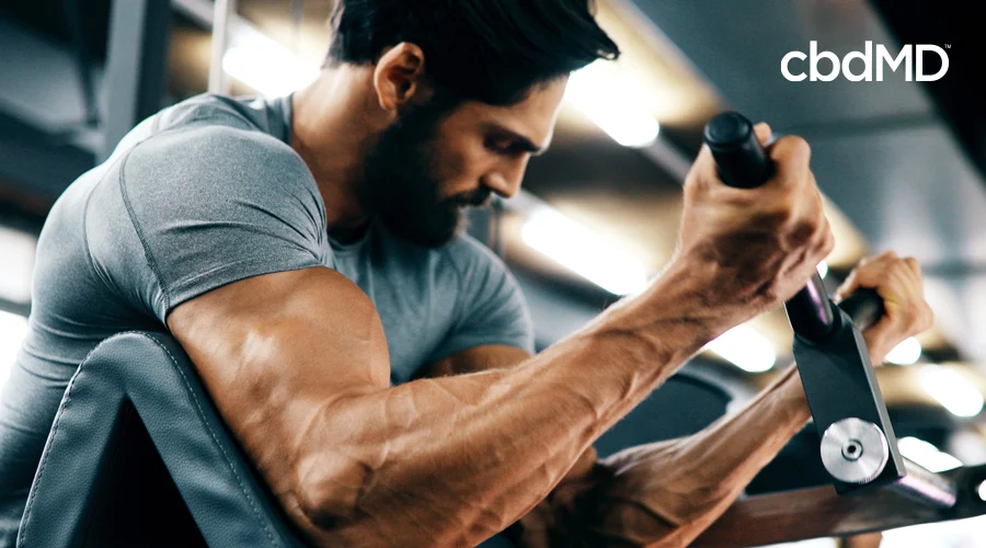 Fit man with dark hair and beard using bicep curl machine in gym