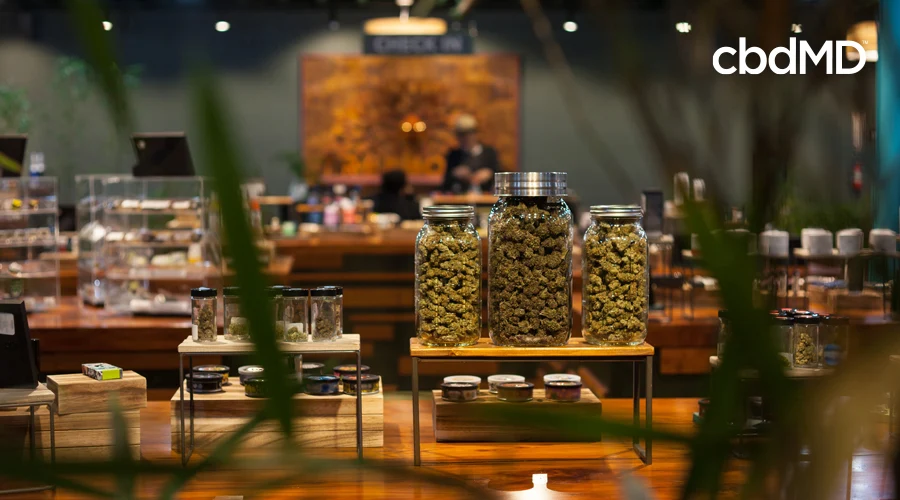 Varieties of cannabis sit in sealed glass jars on a table of a cannabis dispensary