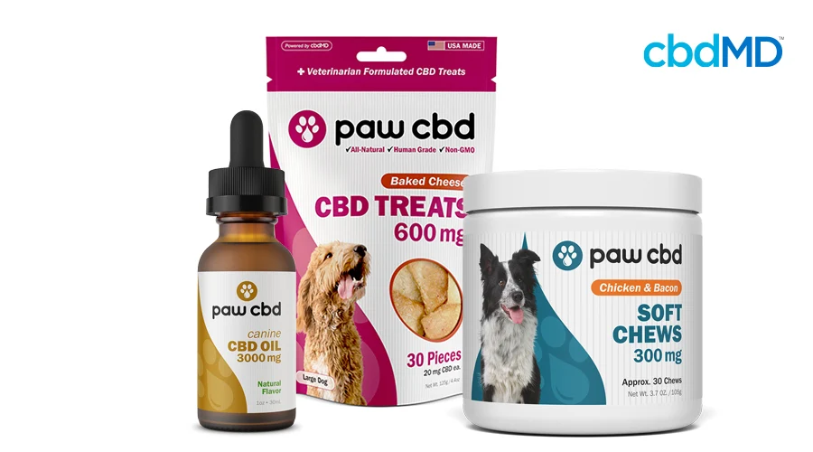 CBD tincture for dogs, cbd treats for dogs, and cbd soft chews for dogs sit together against a white background