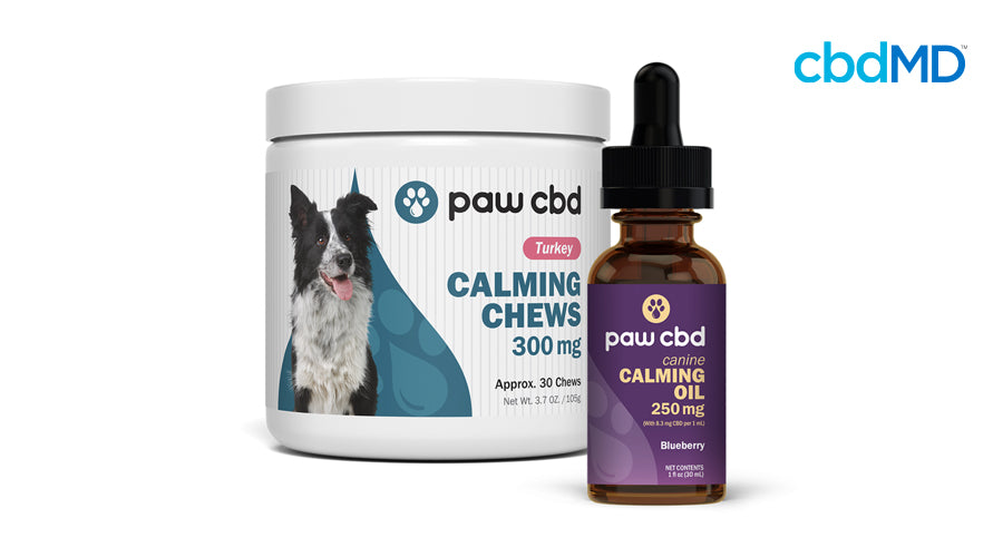 The calming canine bundle of cbd calming chews and cbd calming oil from cbdmd sits against a white background