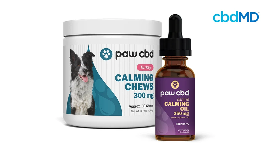 cbdMD calming chews 300 mg and calming oil 250 mg sit against a white background