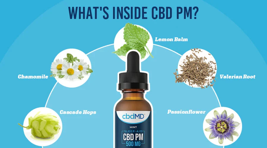 A bottle of 500 mg cbd pm from cbdmd sits in the center with a wide array of herbs and extracts around it