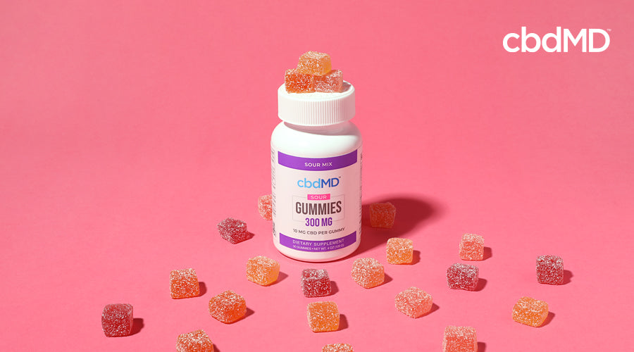 A bottle of cbd gummies from cbdmd sits on a pink background with colorful gummies spread all around
