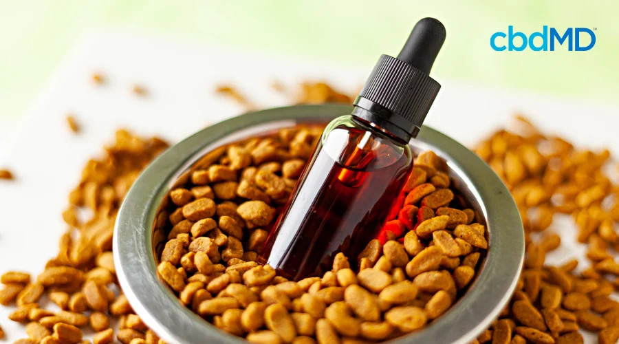 A bottle of pet cbd oil tincture from paw cbd sits in a bowl of pet food