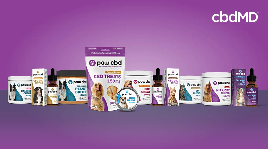 The entire line of paw cbd products sits in a line against a purple background