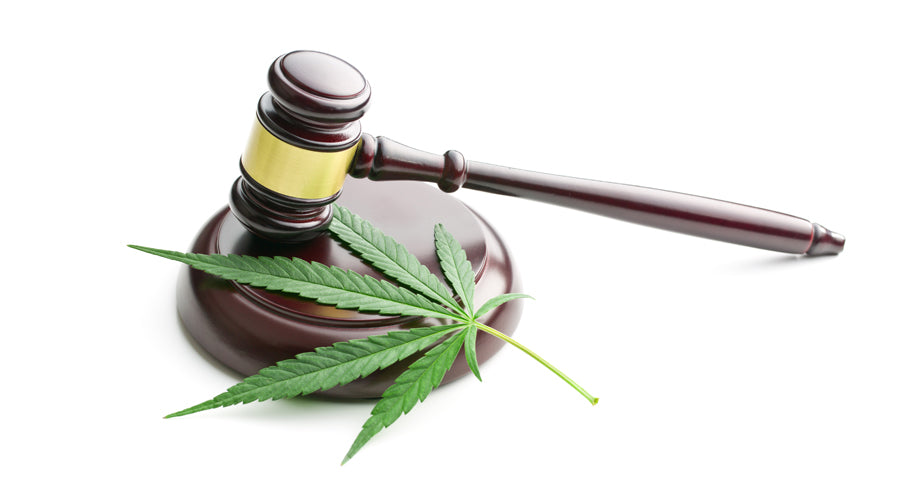 A gavel sits atop the striker with a cannabis leaf atop it