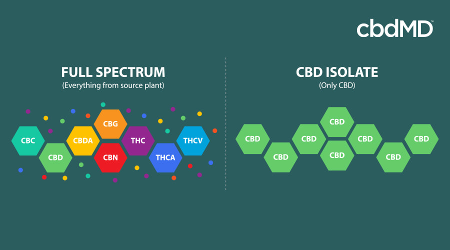 A brightly colored diagram shows the difference between full spectrum and cbd isolate