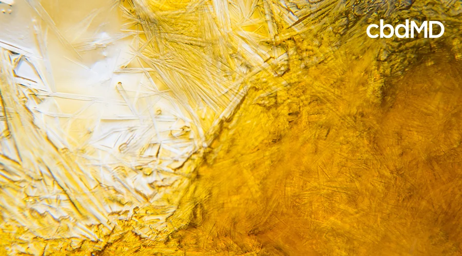 Cbd isolate is seen under a microscope in bronze color