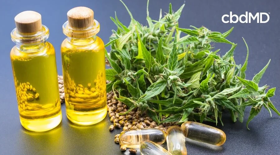 Two bottles of hemp oil sit beside hemp seeds and hemp plants