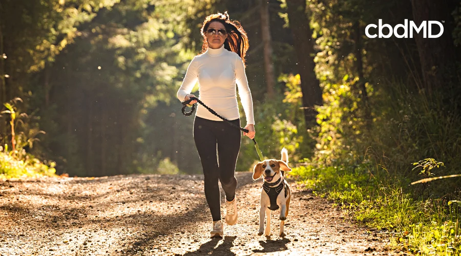 A woman jogs through the park with her beagle on a leash by her side