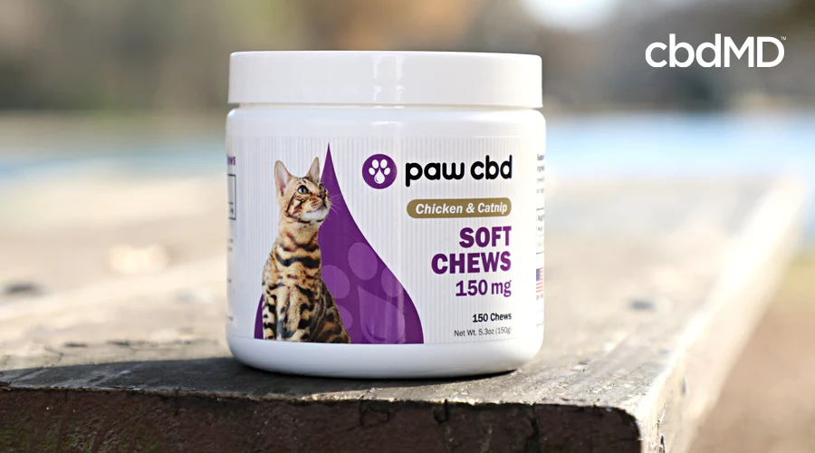 A bottle of cbd soft chews for cats sits on a wooden table