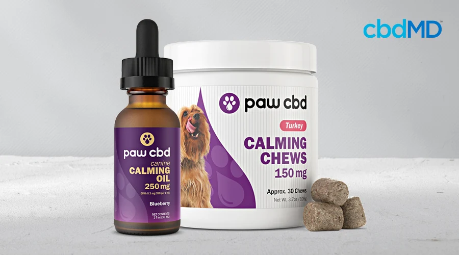 A collection of paw cbd calming chew and calming oil from cbdmd sits next to each other