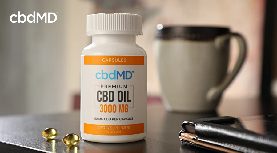 A bottle of 3000 mg cbd softgel capsules from cbdmd sits on a counter next to a coffee cup