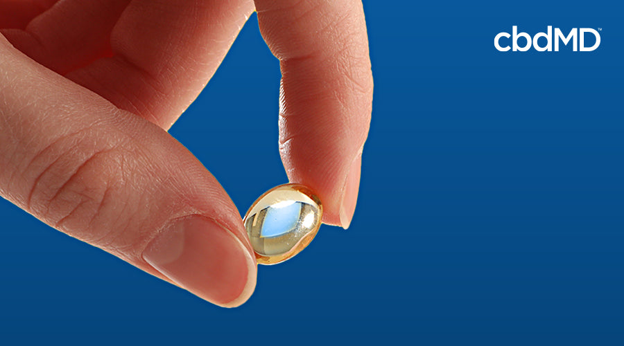 A hand holds a cbd softgel capsule from cbdmd between two fingers