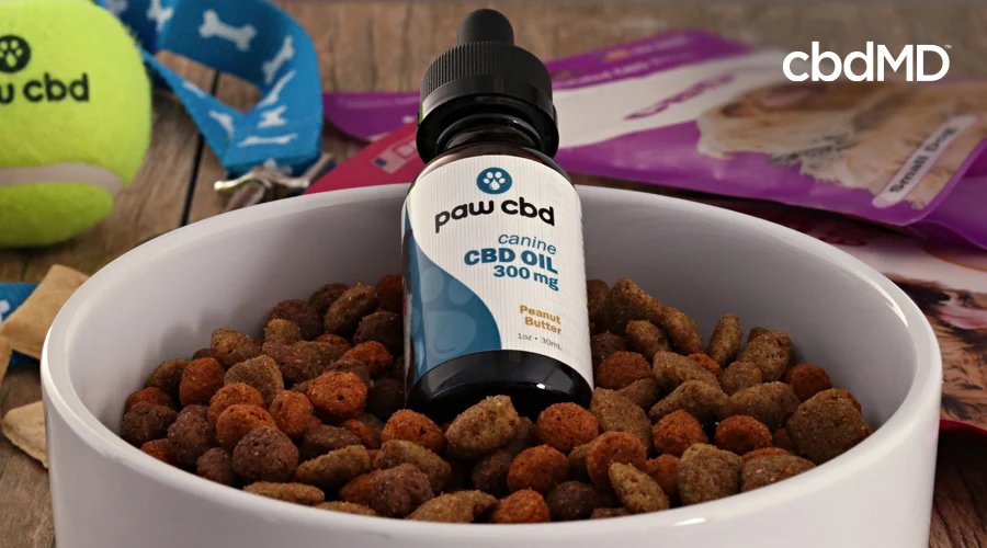 A bottle of cbd oil tincture for dogs sits in a bowl of dog food