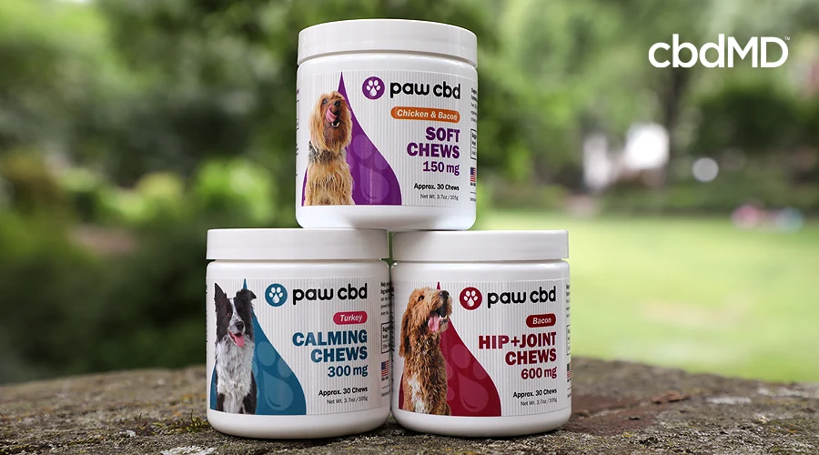 A pyramid of cbd dog chews from paw cbd sit on a granite table