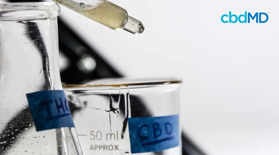 Glass container labeled THC and a glass container labeled CBD next to each other with a dropper of cannabis oil above it