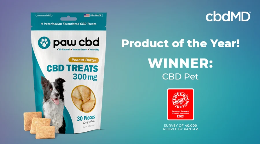 Product of the year, cbd treats for dogs from cbdmd sits by the award
