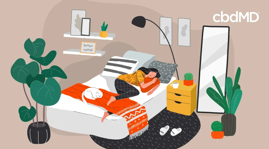 A cartoon of a dark haired woman sleeping on a bed next to a white cat