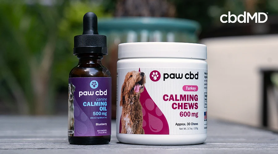 Paw cbd pet calming bundle sits on a wooden outdoor table