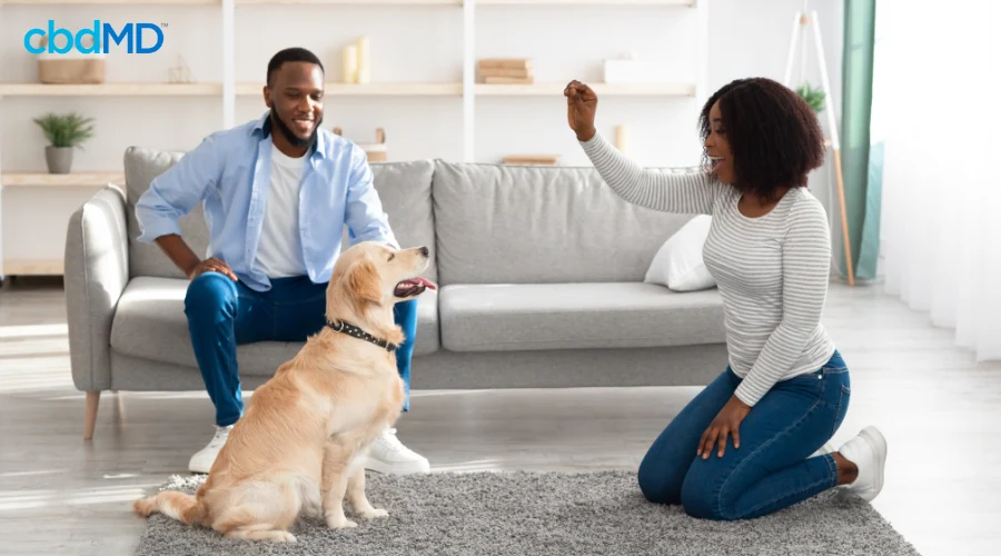Couple Using Dog Probiotic Treats for Training