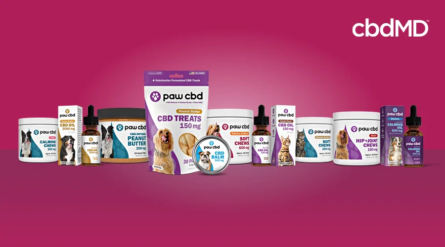 The entire line of cbd products for pets from cbdmd and paw cbd sit in a line