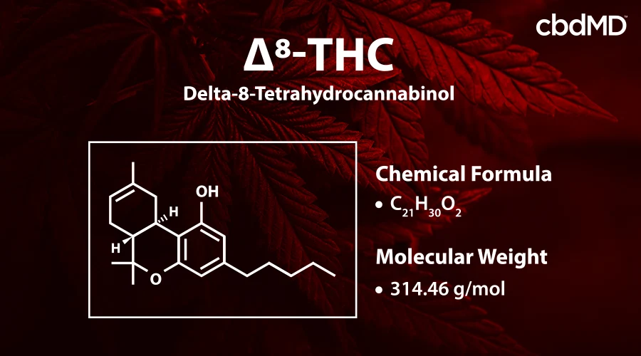 Delta 8 tetrahydrocannabinol compound diagram and descriptions with marijuana leaves in the background - cbdMD 