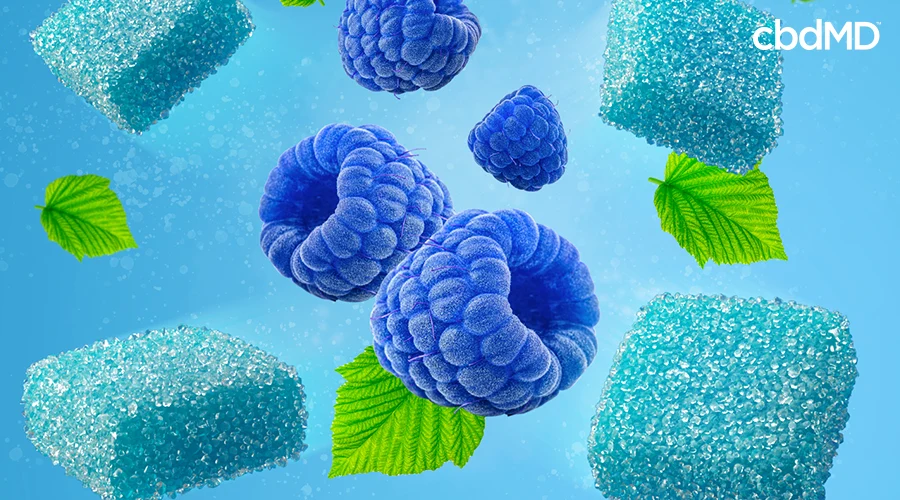 Blue razz gummies with blue raspberries and leaves next to them - cbdMD