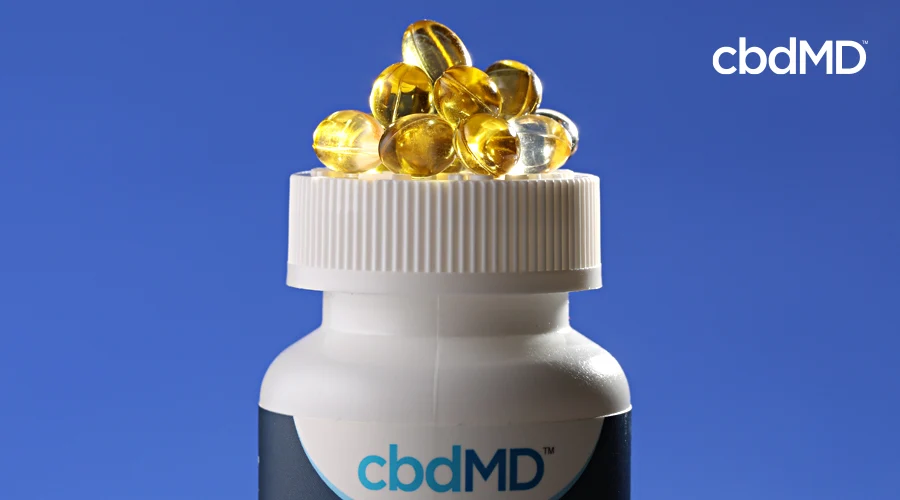 A bottle of cbd pm from cbdmd sits with a stack of pills on top