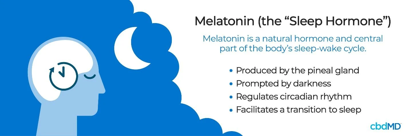 An infographic demonstrates the different attributes of melatonin
