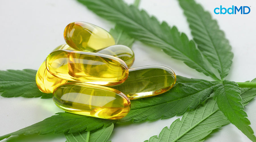 CBD oil capsules laying on hemp leaves - cbdMD