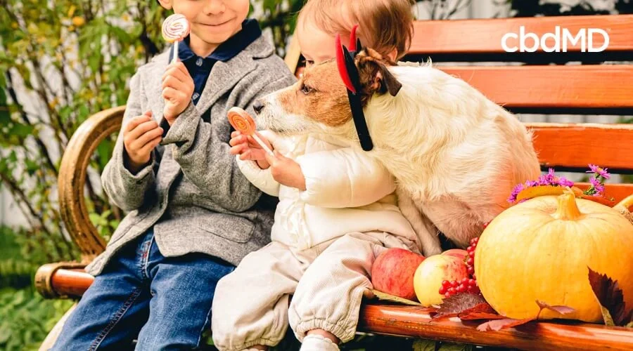 Two children sit on a park bench with a dog who is interested in stealing their candy