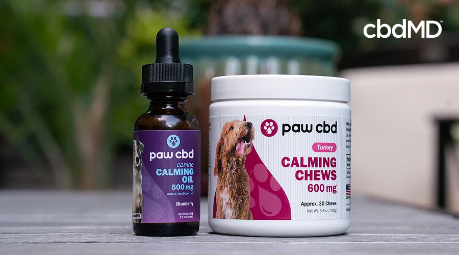paw cbd calming pet tincture and paw cbd calming pet chews from cbdmd sit on a grey table outdoors