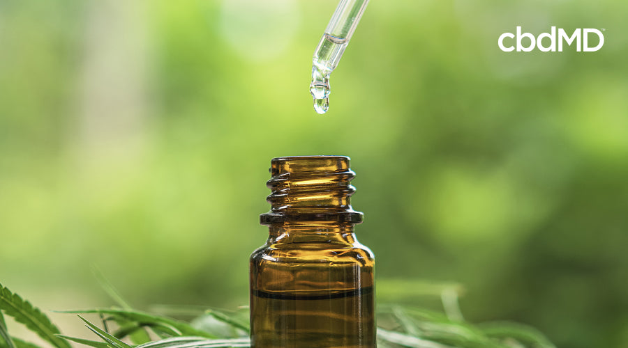 A bottle of cbd oil tincture from cbdmd sits among harvested hemp plants