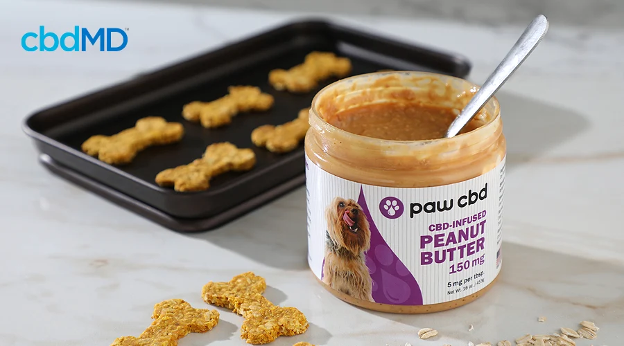 A jar of cbd infused peanut butter sits net to a baking tray full of cbd dog treats