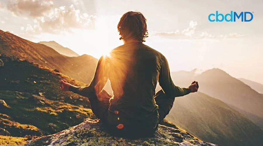 A man sits crosslegged in meditation against the rising sun