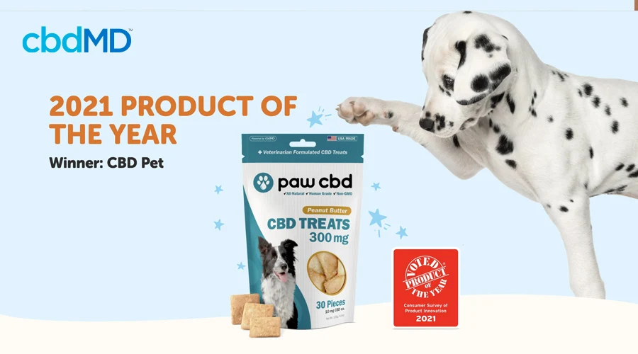 A dalmatian puppy paws at the bag of award winning treats for dogs from cbdmd