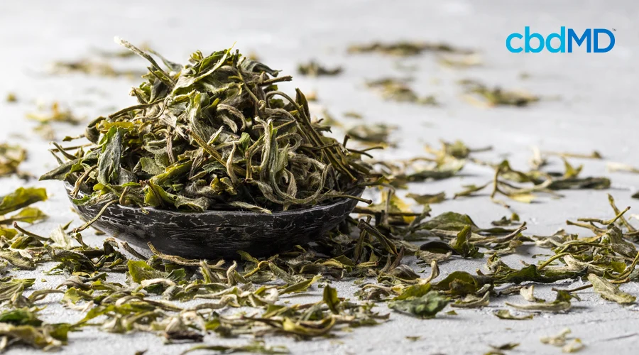 Dried tea leaves sit in a small dish surrounded by strewn tea leaves