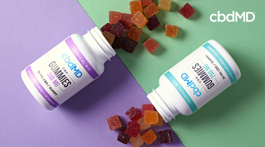 Two bottles of cbd gummies from cbdmd sit on their side in opposite directions with gummies spilling out onto a table