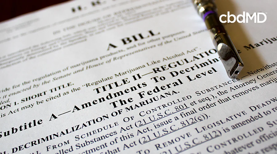 A page from a proposed bill to decriminalize marijuana is shown with a vape pen laying across it