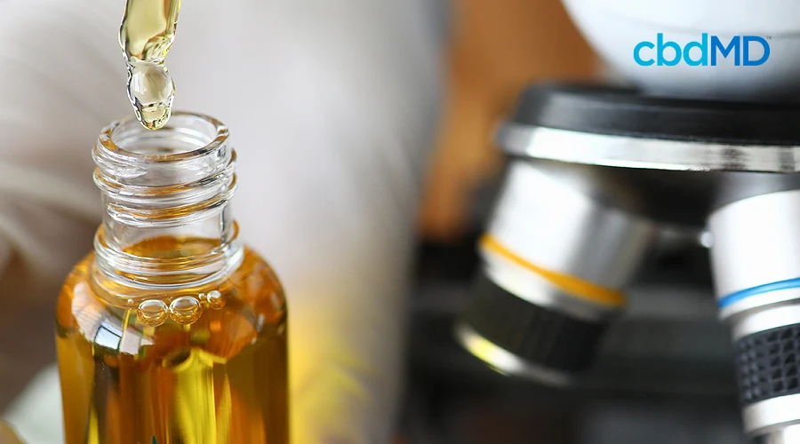 A bottle of golden cbd oil sits open with a dropper above taking a dose out while a microscope sits in the background
