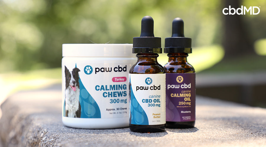 Calming chews for dogs 300 mg turkey canine cbd oil 300 mg peanut butter canine calming oil 250 mg blueberry all next to each other - cbdMD