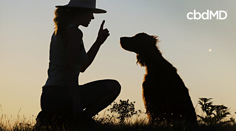 A woman in a broad brimmed hat raises a finger as she trains her dog in a field