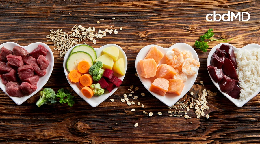 An assortment of healthy food choices for pets sits in heart shaped bowls
