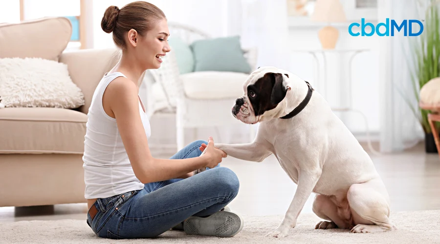 A woman sits in her living room with her dog and asks it to shake