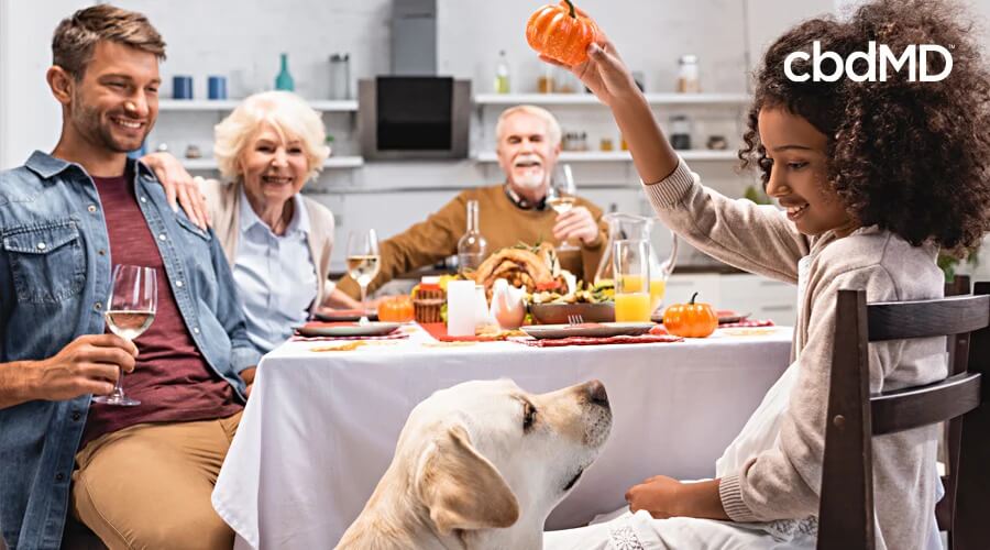 A family sits around a dinner table with their dog looking on