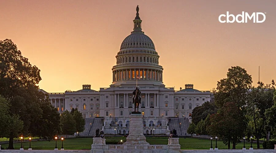 The US capital stands framed by the setting sun