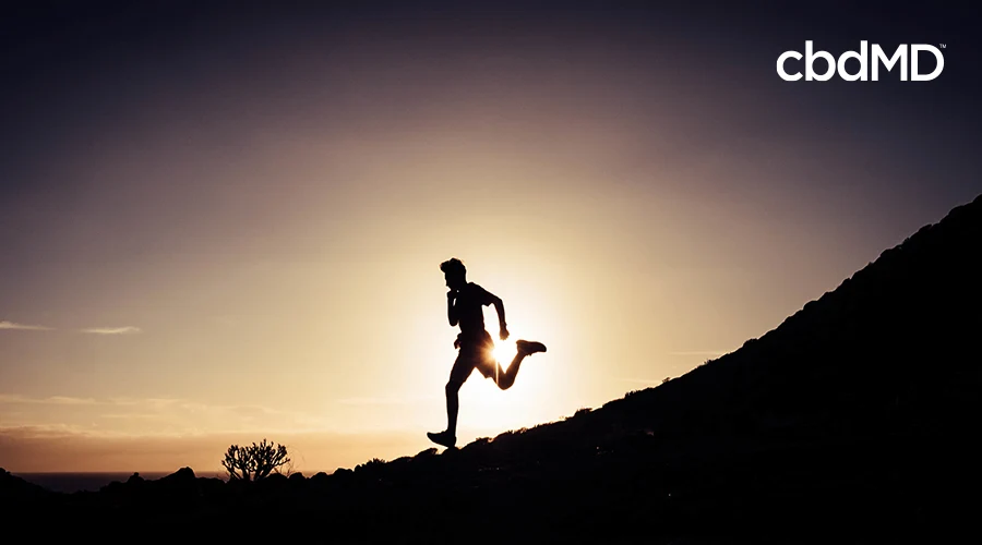Man running at sunset