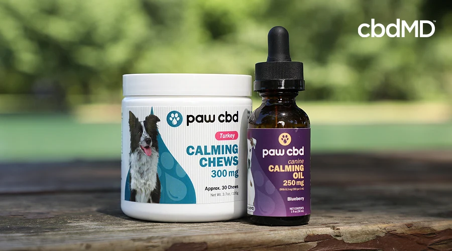 A pair of cbd products for pets from cbdmd sit on a brick railing